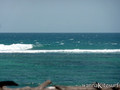 kite surfing photo