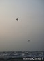 kite surfing photo