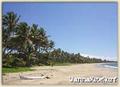 kite surfing photo