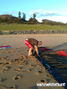 kite surfing photo