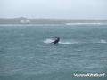 kite surfing photo