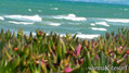 kite surfing photo