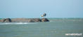 kite surfing photo