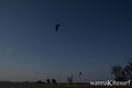 kite surfing photo